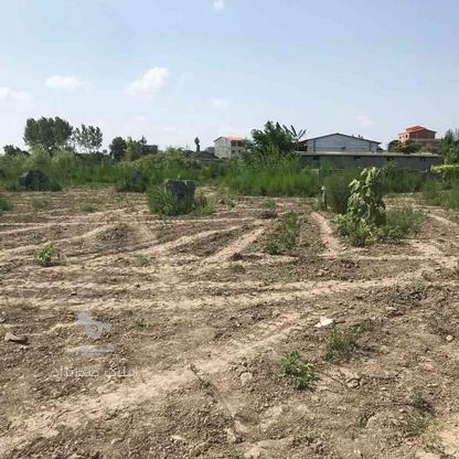 200 متر زمین سنددار مسکونی در سرخرود در گروه خرید و فروش املاک در مازندران در شیپور-عکس1