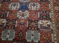 فرش دستباف طرح خشت چالشتری در شیپور-عکس کوچک