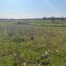 زمین 281 متری در جاده فرح آباد