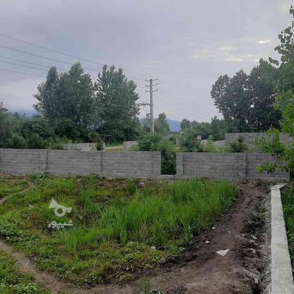 فروش قطعه زمین سرمایه گذاری 200متری در گروه خرید و فروش املاک در مازندران در شیپور-عکس1