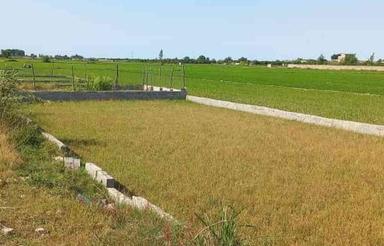 فروش زمین کشاورزی 200 متر در اسبوکلا