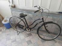 دوچرخه سالم در شیپور-عکس کوچک