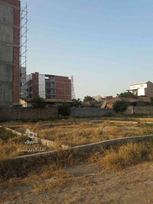 زمین مسکونی 167 متر در کوچه مخابرات جویبار در گروه خرید و فروش املاک در مازندران در شیپور-عکس1
