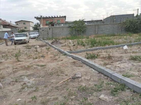 زمین مسکونی 241متر،آب برق وگاز دارد، در گروه خرید و فروش املاک در مازندران در شیپور-عکس1