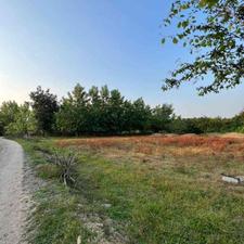 زمین 1000 مترجنگلی سنددار