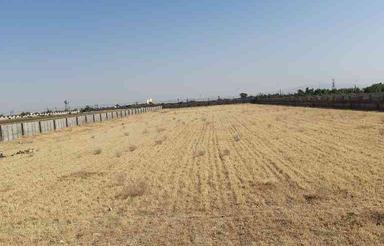 فروش زمین کشاورزی 10000 متر در کردان