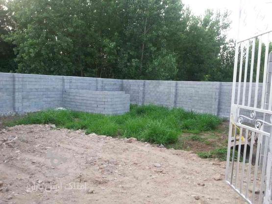 زمین مسکونی 200 متر با جواز ساخت بین عباس اباد و سلمانشهر در گروه خرید و فروش املاک در مازندران در شیپور-عکس1