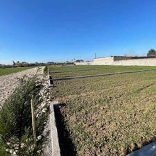 فروش زمین 200 متر در ابتدای شهر فرح آباد