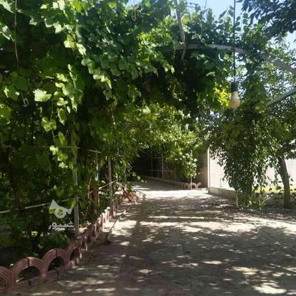 فروش باغ  ویلا 1000 متری در باسمنج در گروه خرید و فروش املاک در آذربایجان شرقی در شیپور-عکس1