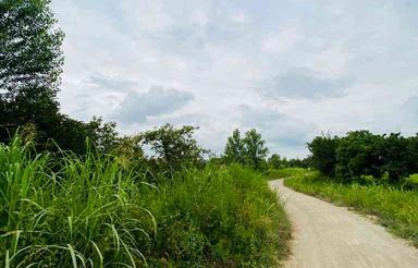 فروش زمین 900 متر در لیتکوه