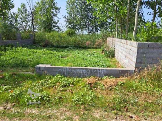 فروش زمین باغی 130 متر /محصور در گروه خرید و فروش املاک در گیلان در شیپور-عکس1