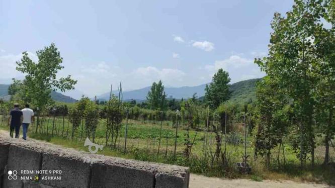 فروش 220 متر زمین شهرکی در کوهپایه زیبای تنکابن در گروه خرید و فروش املاک در مازندران در شیپور-عکس1