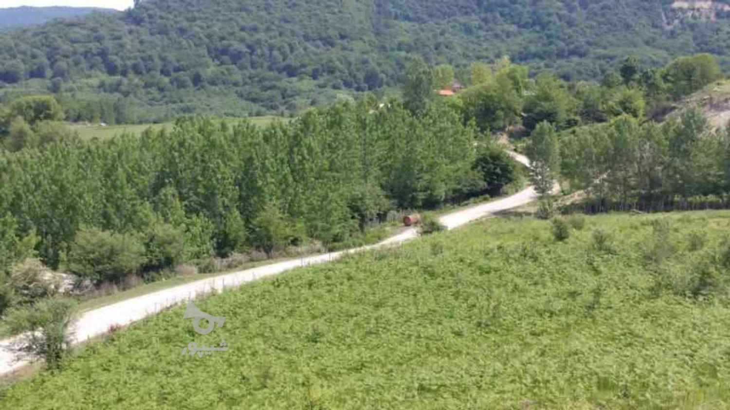 زمین کشاورزی 2500 متر در زیرآب روستای لاجیم در گروه خرید و فروش املاک در مازندران در شیپور-عکس1