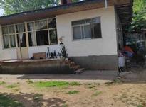 فروش خانه و کلنگی 700 متر در چوکام در شیپور-عکس کوچک