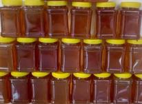 فروش عسل خالص شیزند در شیپور-عکس کوچک