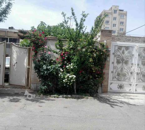 خانه 300 متر در گروه خرید و فروش املاک در تهران در شیپور-عکس1