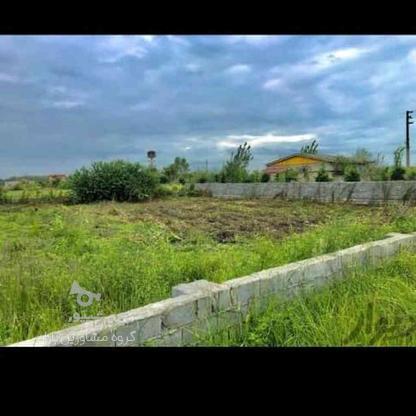 فروش زمین مسکونی 300 متر در تشبندان در گروه خرید و فروش املاک در مازندران در شیپور-عکس1