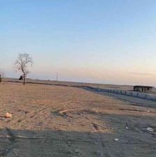 فروش زمین ساحلی 60000 متر در چپکرود