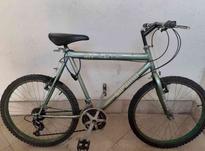 دوچرخه کوهستانی سایز 24 دنده ای در شیپور-عکس کوچک