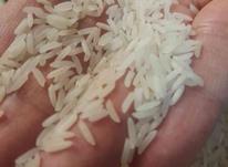 برنج طارم فجر گالیکش در شیپور-عکس کوچک