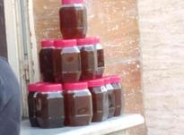 فروش عسل طبیعی لوه در شیپور-عکس کوچک