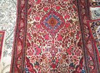 فرش دستباف سالم در شیپور-عکس کوچک