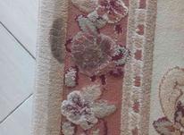 گلیم فرش بدون پارگی وپوسیدگی در شیپور-عکس کوچک