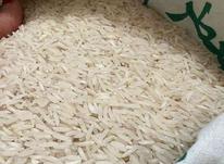 برنج طارم استخونی در شیپور-عکس کوچک
