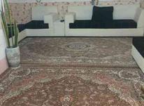 یه جفت فرش 9متری در شیپور-عکس کوچک