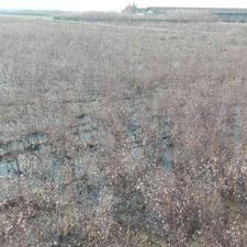 فروش زمین مسکونی 220متر در چمران