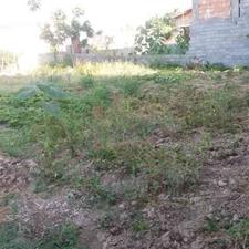 فروش زمین مسکونی 253 متری در باقرتنگه