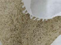برنج طارم هاشمی طارم گیلان و خوشپخت در شیپور-عکس کوچک