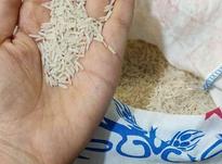 فروش برنج و گوشت در شیپور-عکس کوچک