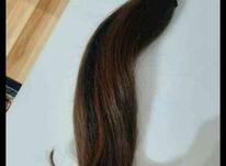 خرید موی طبیعی شما با حجم بالا 50 سانت به بالا در شیپور-عکس کوچک