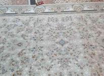 دو عدد فرش دست بافت گونه کاشان 9 متری در شیپور-عکس کوچک
