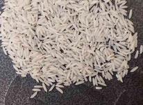 برنج ندا درجه یک در شیپور-عکس کوچک