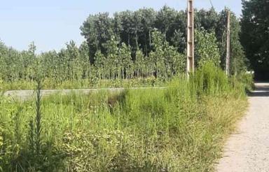 2200متر زمین دربافت مسکونی(رودبنه /روستای امامده)