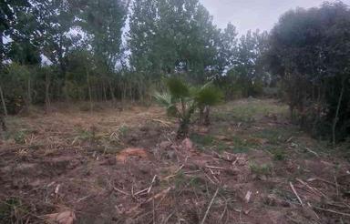 زمین مسکونی 2700 متر در دعوی سرا