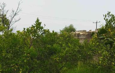 زمین مسکونی 540 متر در سلیمان آباد