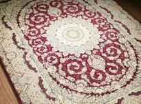 فرش اصل و با ضمانت در شیپور-عکس کوچک