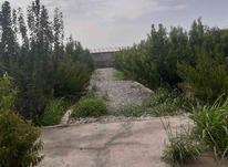 باغچه 700 متر در ملارد،بیدگنه در شیپور-عکس کوچک