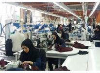 تولید پوشاک آرکا در شیپور-عکس کوچک