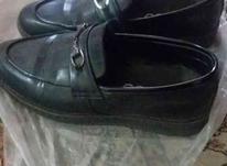 کفش مردانه مجلسی سایز 41 در شیپور-عکس کوچک