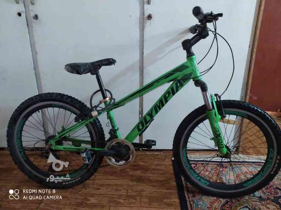 فروش دوچرخه 24حرفه ای در گروه خرید و فروش ورزش فرهنگ فراغت در خوزستان در شیپور-عکس1