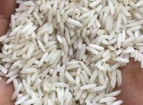 فروش انواع برنج عمده جزئی در شیپور-عکس کوچک