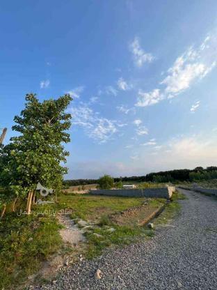 زمین کشاورزی 1100 متر در آمل در گروه خرید و فروش املاک در مازندران در شیپور-عکس1
