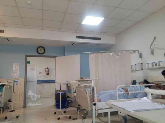 پرستارومراقبت بیمارستان وشبانه روزی در گروه خرید و فروش استخدام در تهران در شیپور-عکس1