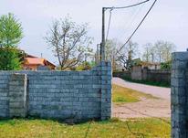 فروش زمین مسکونی 300 متر در شهر چاف در شیپور-عکس کوچک