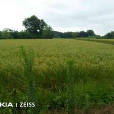 زمین کشاورزی 18000 متر در گیشاکجان