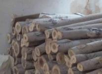 خرید چوب تبریزی خشک و تیر ساختمانی در شیپور-عکس کوچک